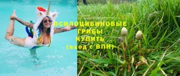 a pvp Алексин